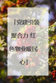 党建引领聚合力 红色物业暖民心