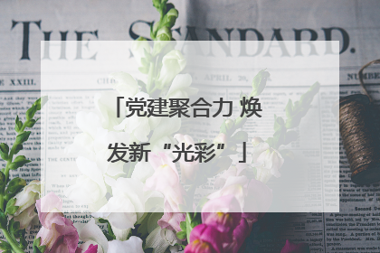 党建聚合力 焕发新“光彩”
