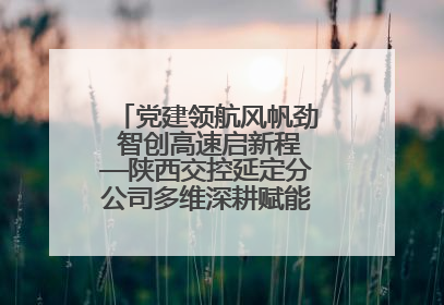 党建领航风帆劲 智创高速启新程—陕西交控延定分公司多维深耕赋能运营管理新跨越
