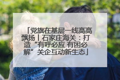 党旗在基层一线高高飘扬丨石家庄海关：打造“有呼必应 有困必解”关企互动新生态