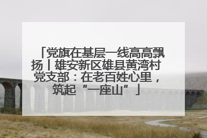 党旗在基层一线高高飘扬丨雄安新区雄县黄湾村党支部：在老百姓心里，筑起“一座山”