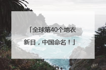 全球第40个地衣新目，中国命名！