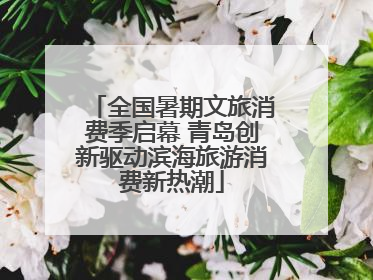 全国暑期文旅消费季启幕 青岛创新驱动滨海旅游消费新热潮