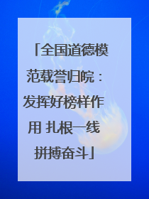 全国道德模范载誉归皖：发挥好榜样作用 扎根一线拼搏奋斗