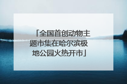 全国首创动物主题市集在哈尔滨极地公园火热开市