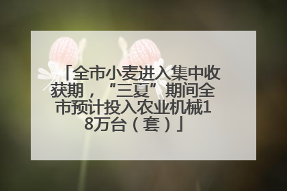 全市小麦进入集中收获期，“三夏”期间全市预计投入农业机械18万台（套）
