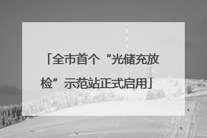 全市首个“光储充放检”示范站正式启用