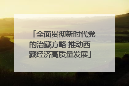 全面贯彻新时代党的治藏方略 推动西藏经济高质量发展