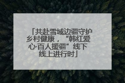 共赴雪域边疆守护乡村健康，“韩红爱心·百人援疆”线下线上进行时