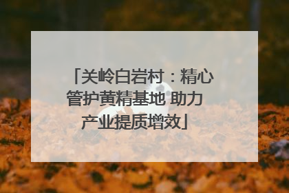 关岭白岩村：精心管护黄精基地 助力产业提质增效