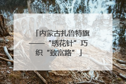内蒙古扎鲁特旗——“绣花针”巧织“致富路”