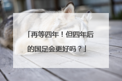 再等四年！但四年后的国足会更好吗？
