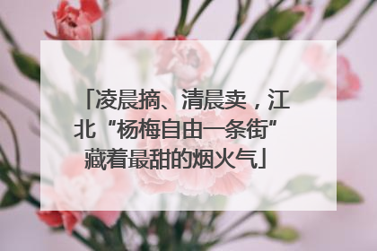 凌晨摘、清晨卖，江北“杨梅自由一条街”藏着最甜的烟火气