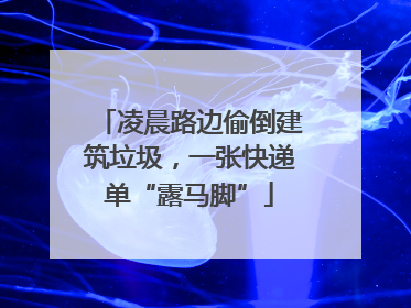 凌晨路边偷倒建筑垃圾，一张快递单“露马脚”