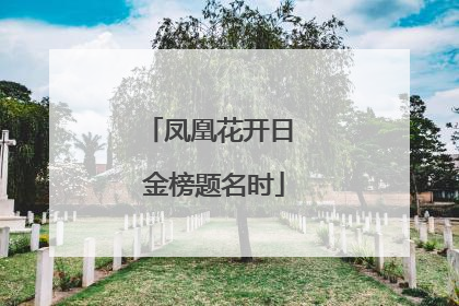 凤凰花开日 金榜题名时