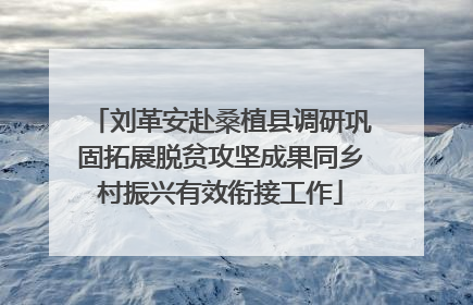 刘革安赴桑植县调研巩固拓展脱贫攻坚成果同乡村振兴有效衔接工作
