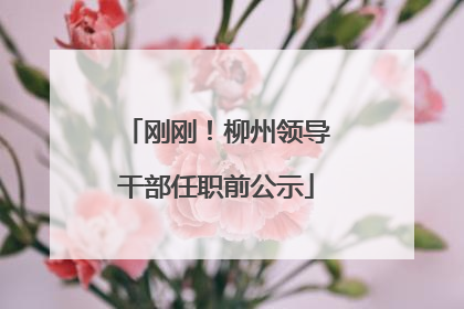 刚刚！柳州领导干部任职前公示