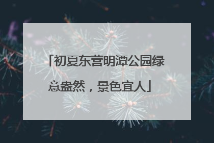 初夏东营明潭公园绿意盎然，景色宜人