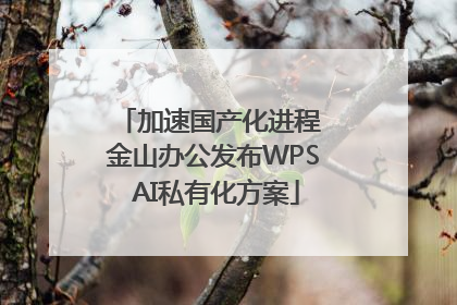 加速国产化进程 金山办公发布WPS AI私有化方案