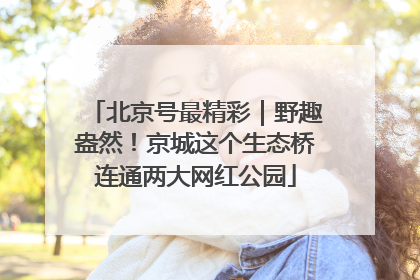 北京号最精彩｜野趣盎然！京城这个生态桥连通两大网红公园