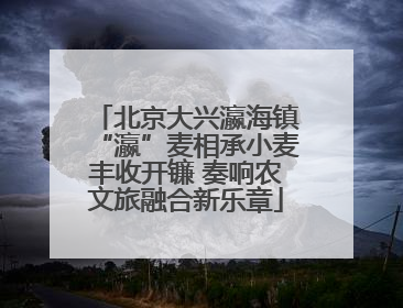 北京大兴瀛海镇“瀛”麦相承小麦丰收开镰 奏响农文旅融合新乐章