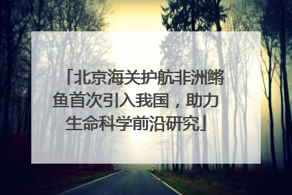 北京海关护航非洲鳉鱼首次引入我国，助力生命科学前沿研究