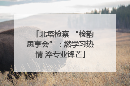 北塔检察 “检韵思享会”：燃学习热情 淬专业锋芒