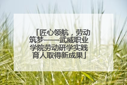 匠心领航，劳动筑梦——武威职业学院劳动研学实践育人取得新成果