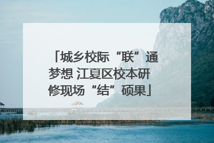 城乡校际“联”通梦想 江夏区校本研修现场“结”硕果