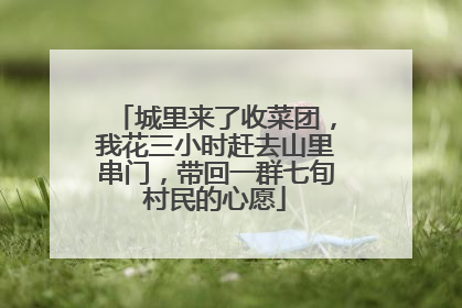 城里来了收菜团，我花三小时赶去山里串门，带回一群七旬村民的心愿