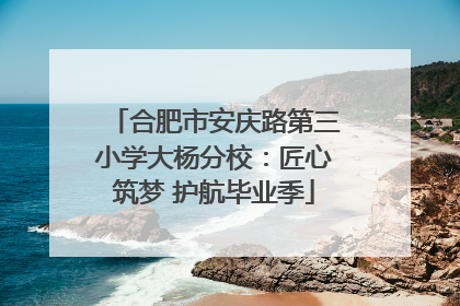 合肥市安庆路第三小学大杨分校：匠心筑梦 护航毕业季