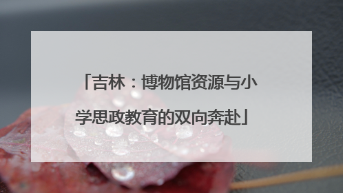 吉林：博物馆资源与小学思政教育的双向奔赴