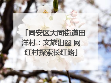 同安区大同街道田洋村：文旅出圈 网红村探索长红路