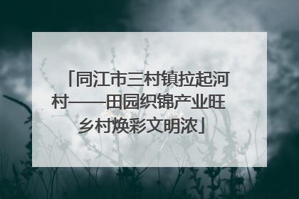 同江市三村镇拉起河村——田园织锦产业旺 乡村焕彩文明浓