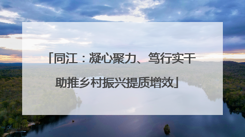 同江：凝心聚力、笃行实干 助推乡村振兴提质增效