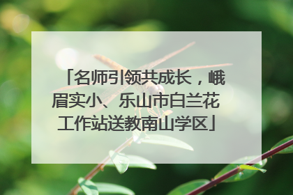 名师引领共成长，峨眉实小、乐山市白兰花工作站送教南山学区