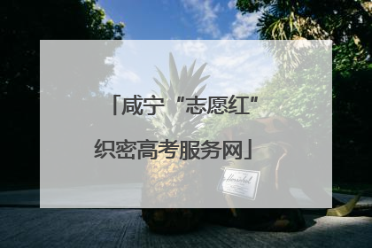 咸宁“志愿红”织密高考服务网