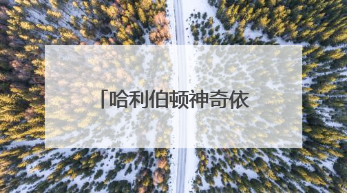 哈利伯顿神奇依旧！这场总决赛胜利 印第安纳等了25年……