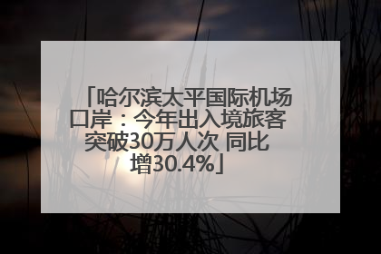 哈尔滨太平国际机场口岸：今年出入境旅客突破30万人次 同比增30.4%