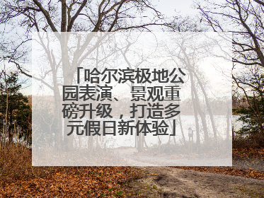哈尔滨极地公园表演、景观重磅升级，打造多元假日新体验