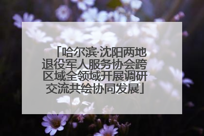 哈尔滨·沈阳两地退役军人服务协会跨区域全领域开展调研交流共绘协同发展