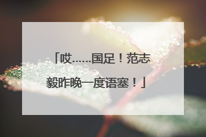 哎……国足！范志毅昨晚一度语塞！