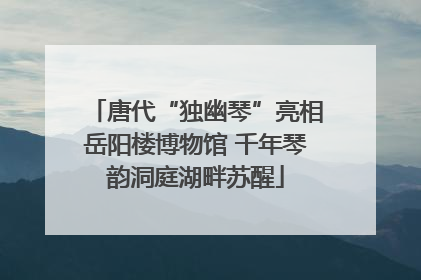 唐代“独幽琴”亮相岳阳楼博物馆 千年琴韵洞庭湖畔苏醒