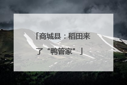 商城县：稻田来了“鸭管家”