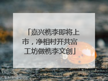 嘉兴槜李即将上市，净相村开共富工坊做槜李文创