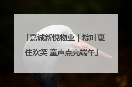 嘉诚新悦物业｜粽叶裹住欢笑 童声点亮端午