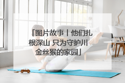 图片故事丨他们扎根深山 只为守护川金丝猴的家园