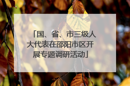 国、省、市三级人大代表在邵阳市区开展专题调研活动