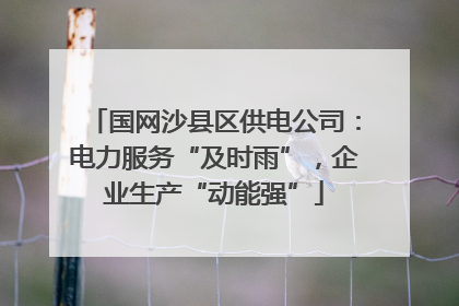 国网沙县区供电公司：电力服务“及时雨”，企业生产“动能强”