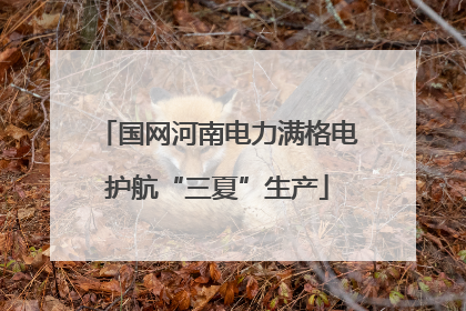 国网河南电力满格电护航“三夏”生产